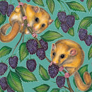 A Perfect Perch by Catherine Rowe 8 Square Notecards Wallet