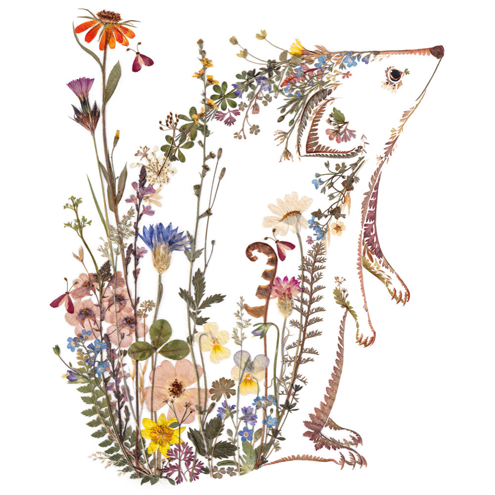 Wild Press Hedgerows by Helen Ahpornsiri 8 Square Notecards Wallet - Bee's Emporium