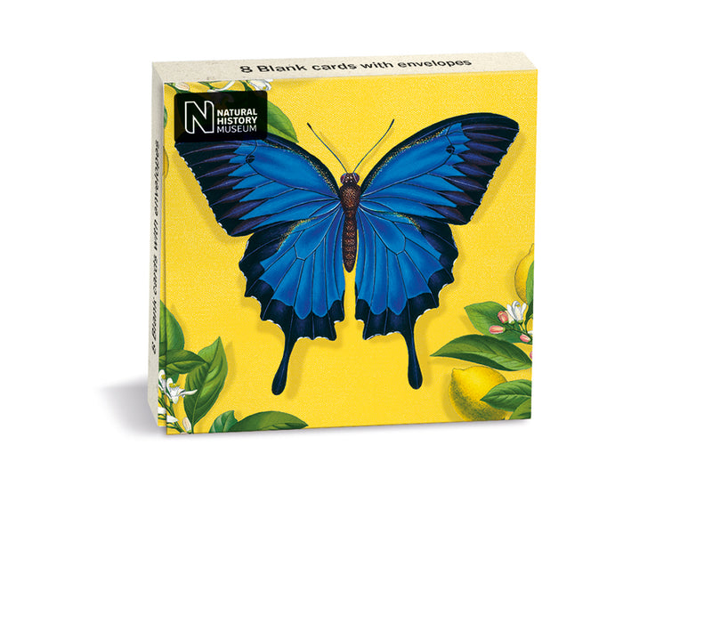 Natural History Museum Ulysses Butterfly 8 Mini Notecards Wallet