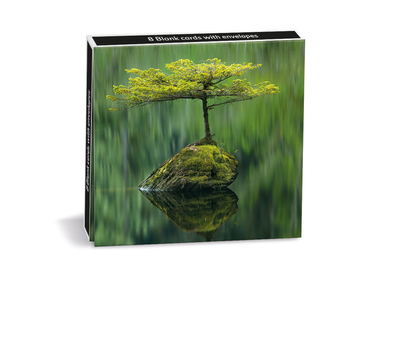 Wildlife Photographer of the Year Fairy Lake Fir 8 Mini Notecards Wallet