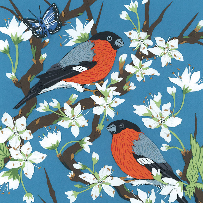 Bullfinches on Blossom by Fiona Scott Wilson 8 Mini Notecards Wallet