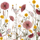 Wild Press by Helen Ahpornsiri Box of 20 Notecards with Envelopes