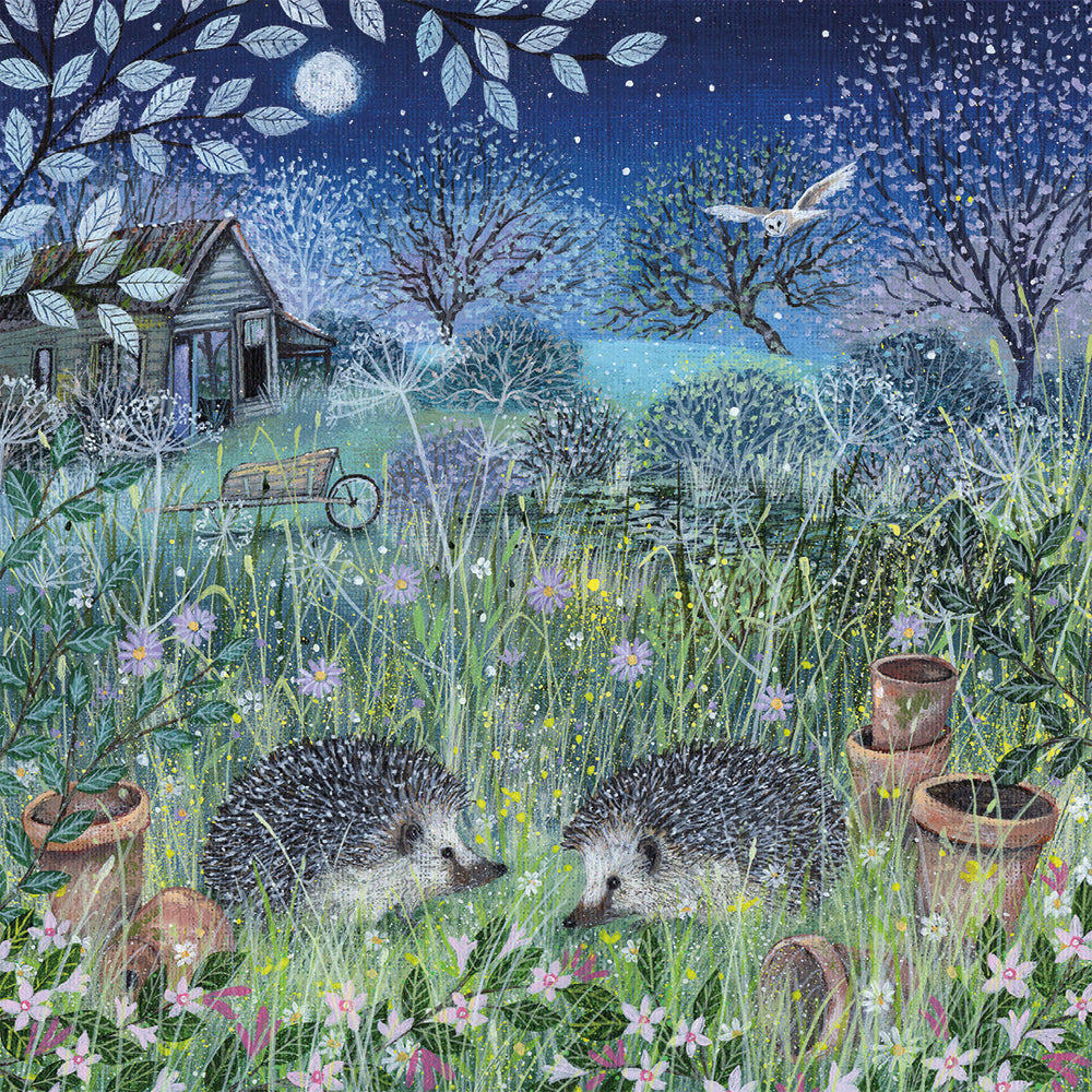 Coast and Country by Lucy Grossmith Box of 20 Notecards with Envelopes - Bee's Emporium