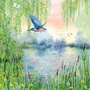 Coast and Country by Lucy Grossmith Box of 20 Notecards with Envelopes