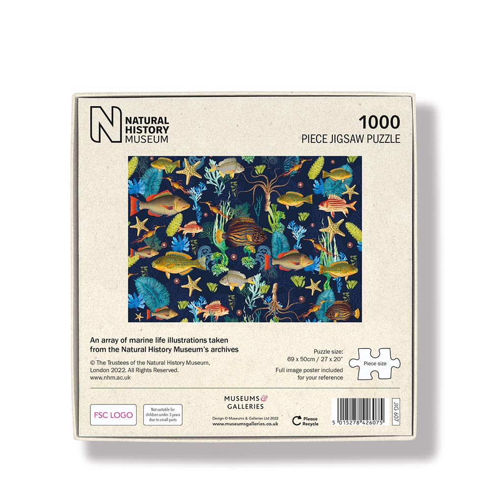 Natural History Museum - An Array of Marine Life 1000 Piece Jigsaw Puzzle - Bee's Emporium