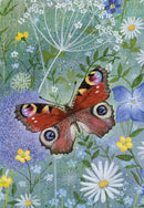 Coast and Country by Lucy Grossmith 20 Mini Notecard Cube