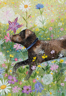 Coast and Country by Lucy Grossmith 20 Mini Notecard Cube