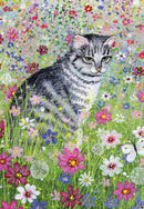 Coast and Country by Lucy Grossmith 20 Mini Notecard Cube