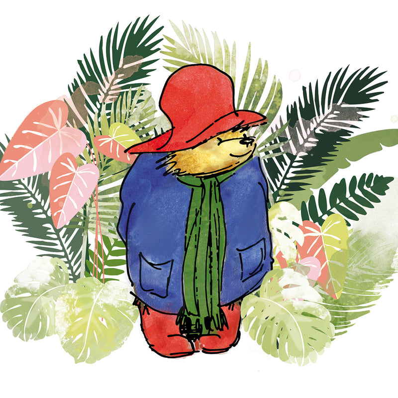 Paddington Bear in the Jungle Blank Greeting Card with Envelope