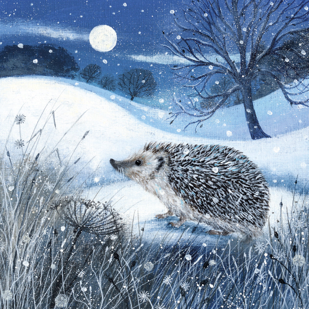 Hedgehog and Moon by Lucy Grossmith Pack of 8 Charity Christmas Cards - Bee's Emporium