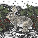 Starlight Hare by Valerie Greeley Pack of 8 Charity Christmas Cards