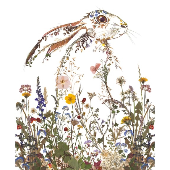Wild Press - Wildflower Hare Blank Greeting Card with Envelope
