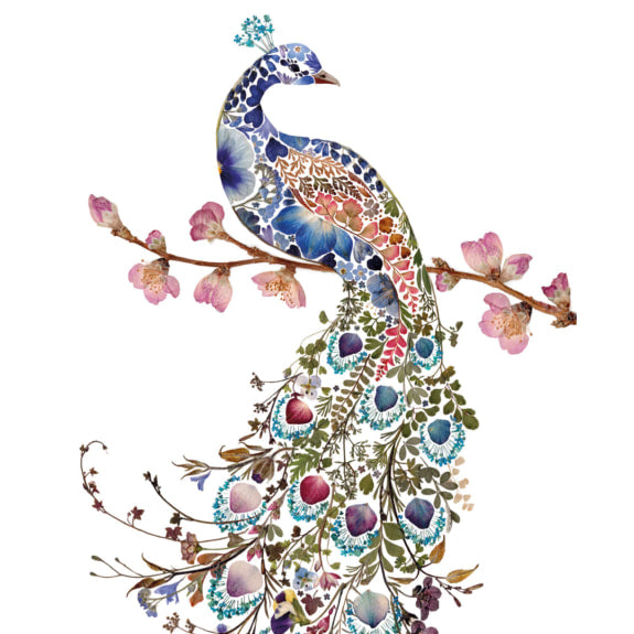 Wild Press - Peacock Blank Greeting Card with Envelope - Bee's Emporium