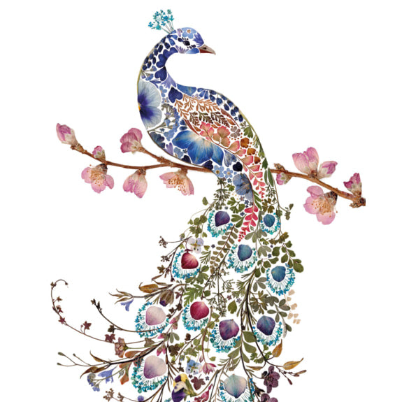 Wild Press - Peacock Blank Greeting Card with Envelope