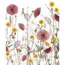 Wild Press - Three Little Mice Blank Greeting Card with Envelope