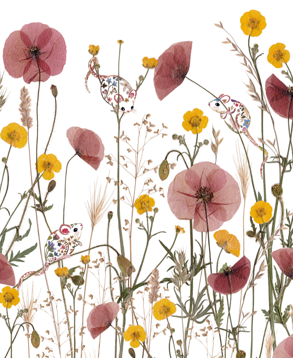 Wild Press by Helen Ahpornsiri 8 Rectangle Notecards Wallet - Bee's Emporium
