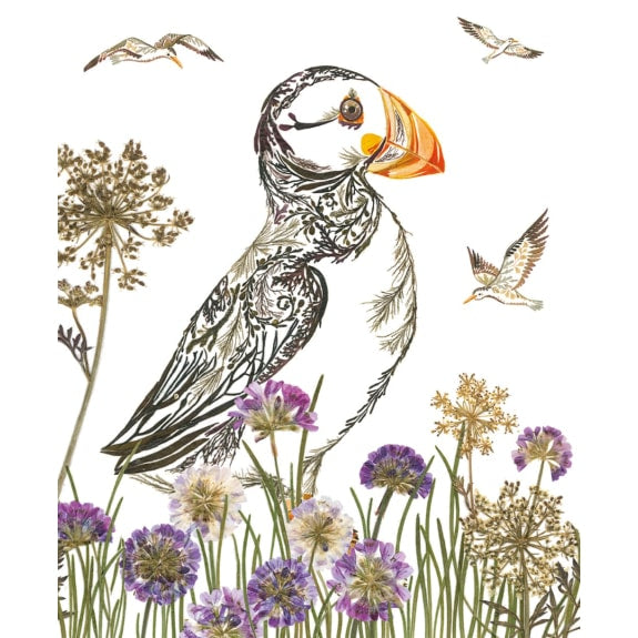 Wild Press - Proud Puffin Blank Greeting Card with Envelope