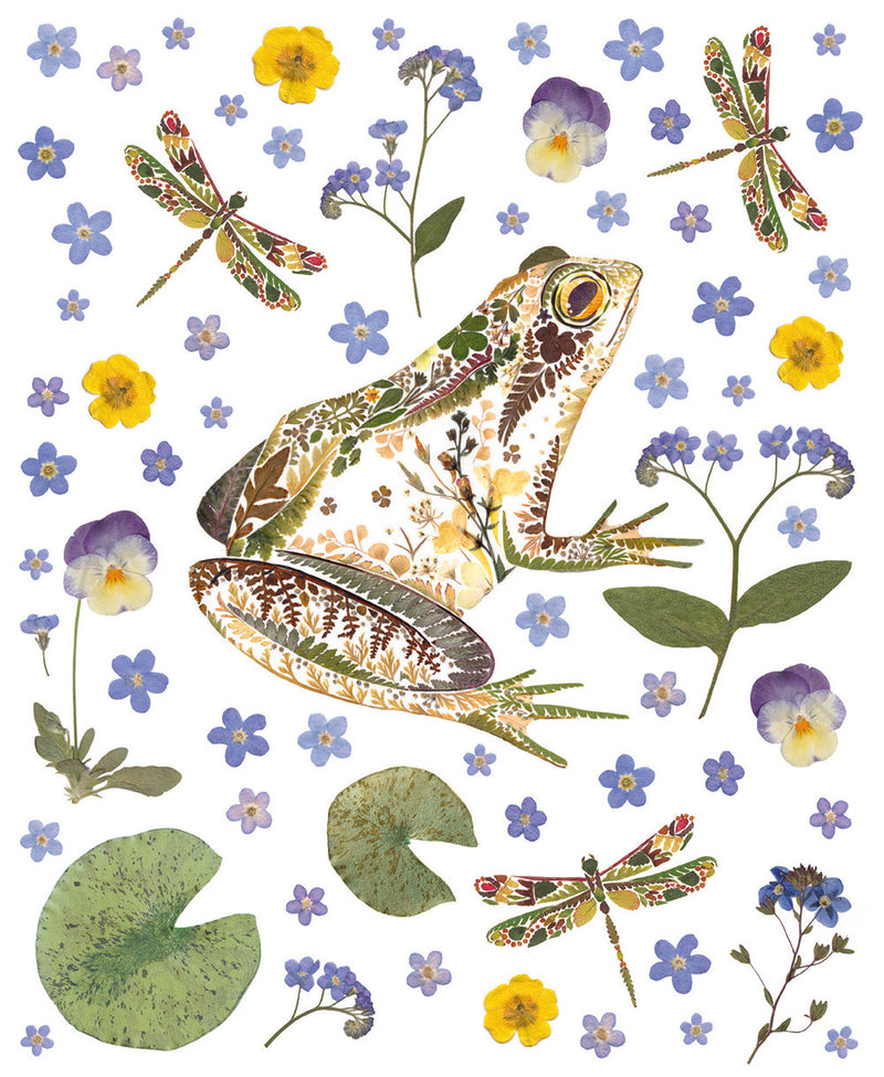 Wild Press - Garden Frog Blank Greeting Card with Envelope