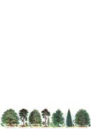 Our British Forest Trees Writing Set