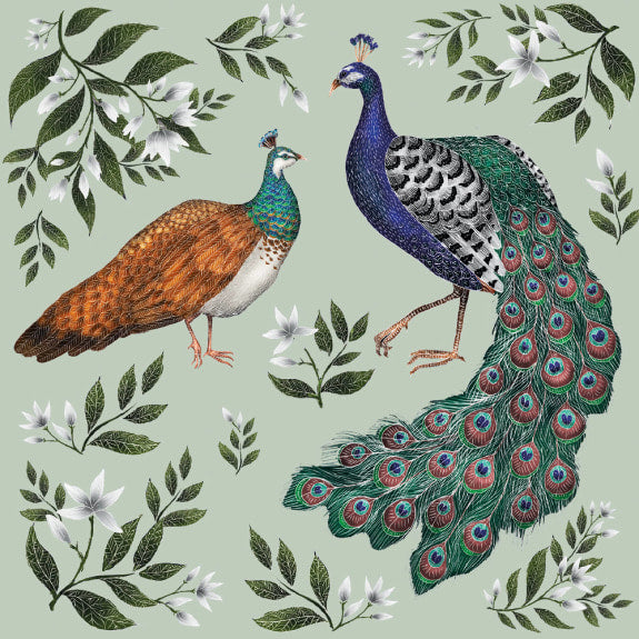 Peahen and Peacock by Catherine Rowe Blank Greeting Card with Envelope