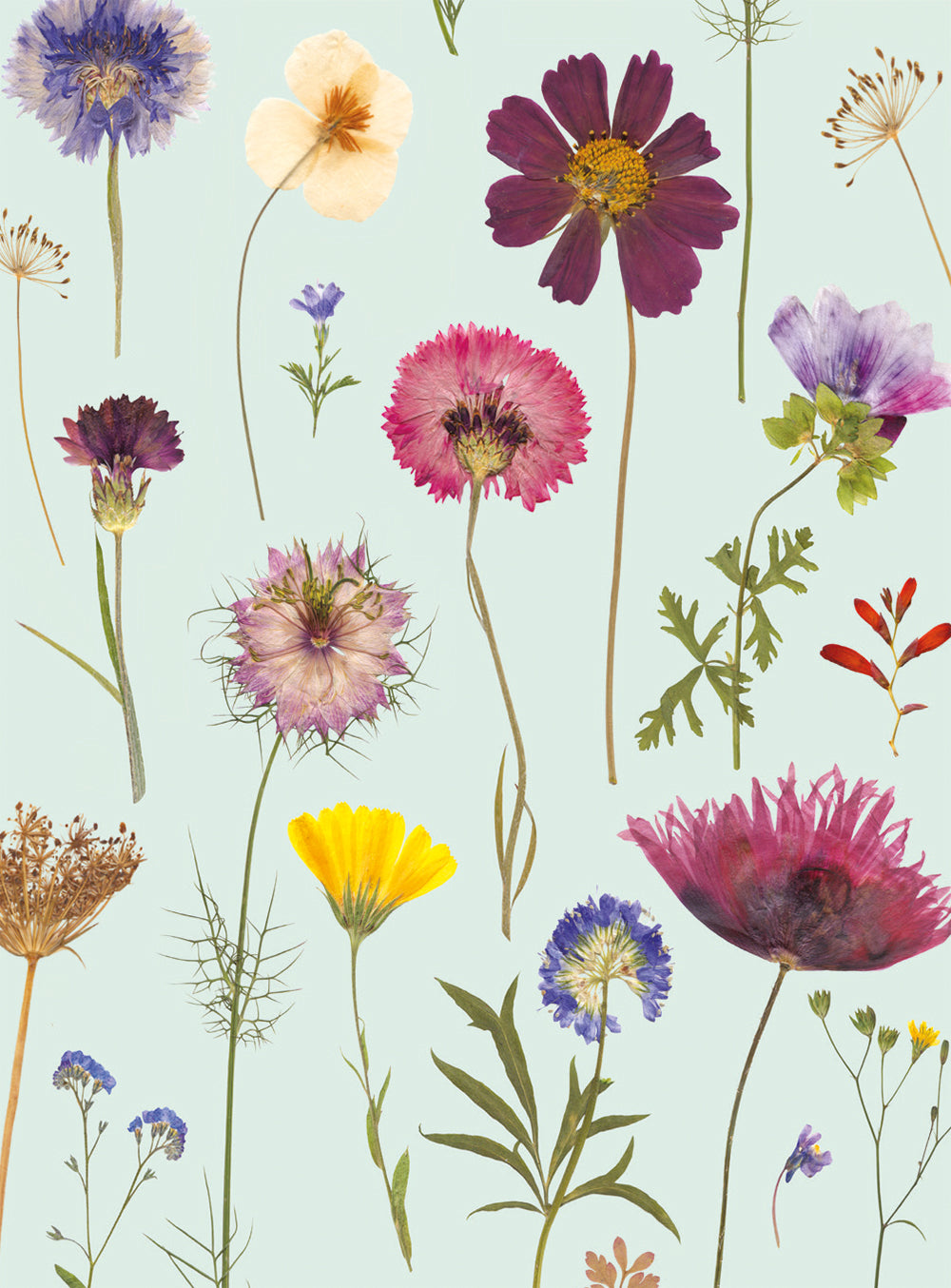 Wild Press Mint Bloom by Helen Ahpornsiri 8 Notecards & Envelopes - Bee's Emporium
