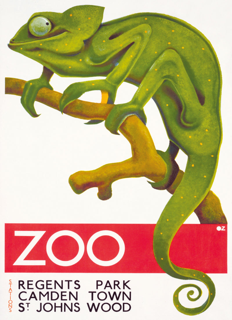 Transport for London - Zoo, Chameleon Blank Greeting Card with Envelope