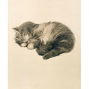 V&A Persian Kitten Blank Greeting Card with Envelope