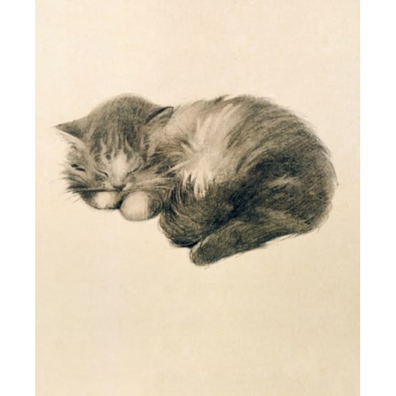 V&A Persian Kitten Blank Greeting Card with Envelope