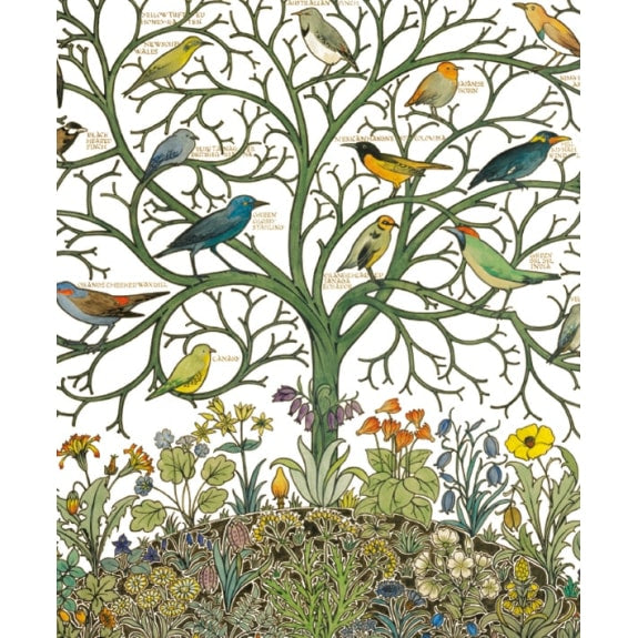 V&A Voysey Birds of Many Climes Blank Greeting Card with Envelope