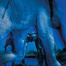 Wildlife Photographer of the Year Essence of Elephants Blank Greeting Card with Envelope