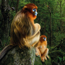 Wildlife Photographer of the Year The Golden Couple Blank Greeting Card with Envelope