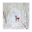 Winter Walks by Lucy Grossmith Box of 20 Christmas Cards