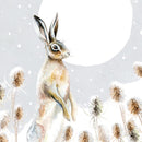 Snowy Paws Box of 20 Charity Christmas Cards