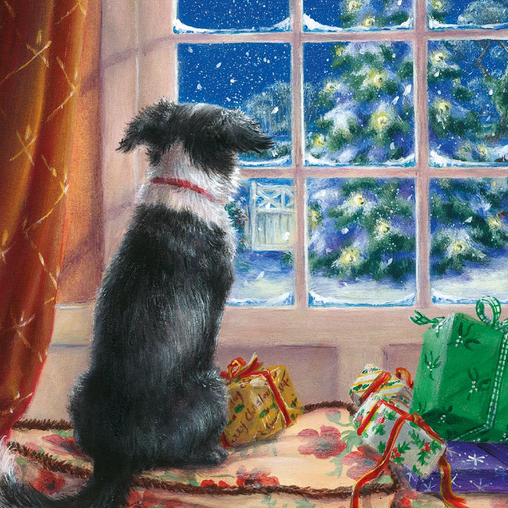 Snowy Paws Box of 20 Charity Christmas Cards - Bee's Emporium