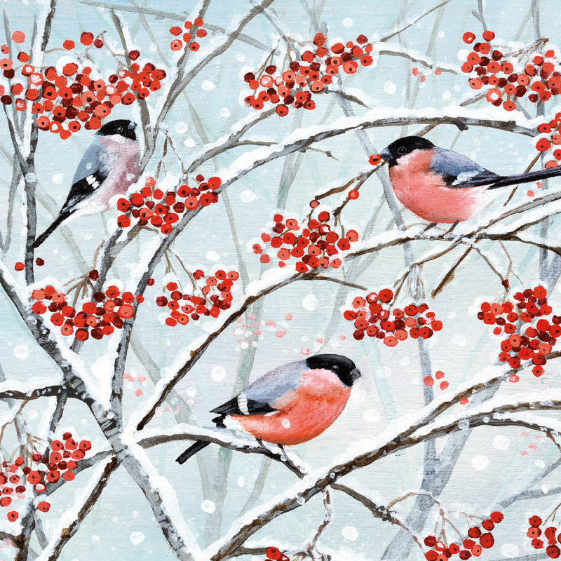 Animals and Winter Berries by Lucy Grossmith Box of 20 Charity Christmas Cards