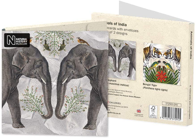 Natural History Museum - Animals of India Square Notecard Wallet - Bee's Emporium