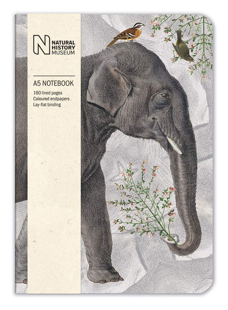 Natural History Museum Elephant A5 Luxury Notebook - Bee's Emporium