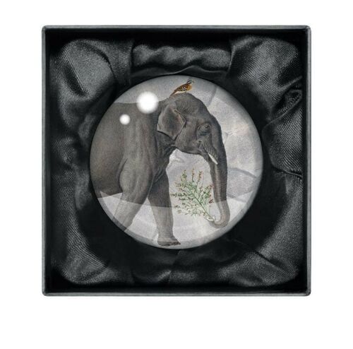 Natural History Museum - Elephants Crystal Dome Paperweight - Bee's Emporium