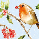 Winter Birds by Louise Nisbet Box of 20 Christmas Cards
