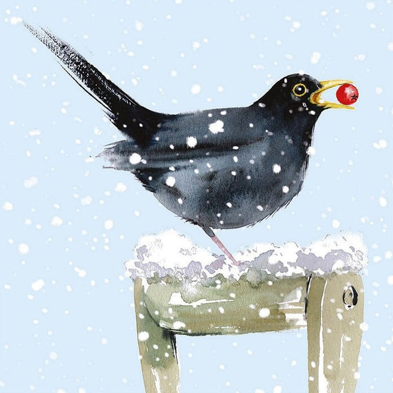 Winter Birds by Louise Nisbet Box of 20 Christmas Cards