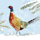 Winter Birds by Louise Nisbet Box of 20 Christmas Cards