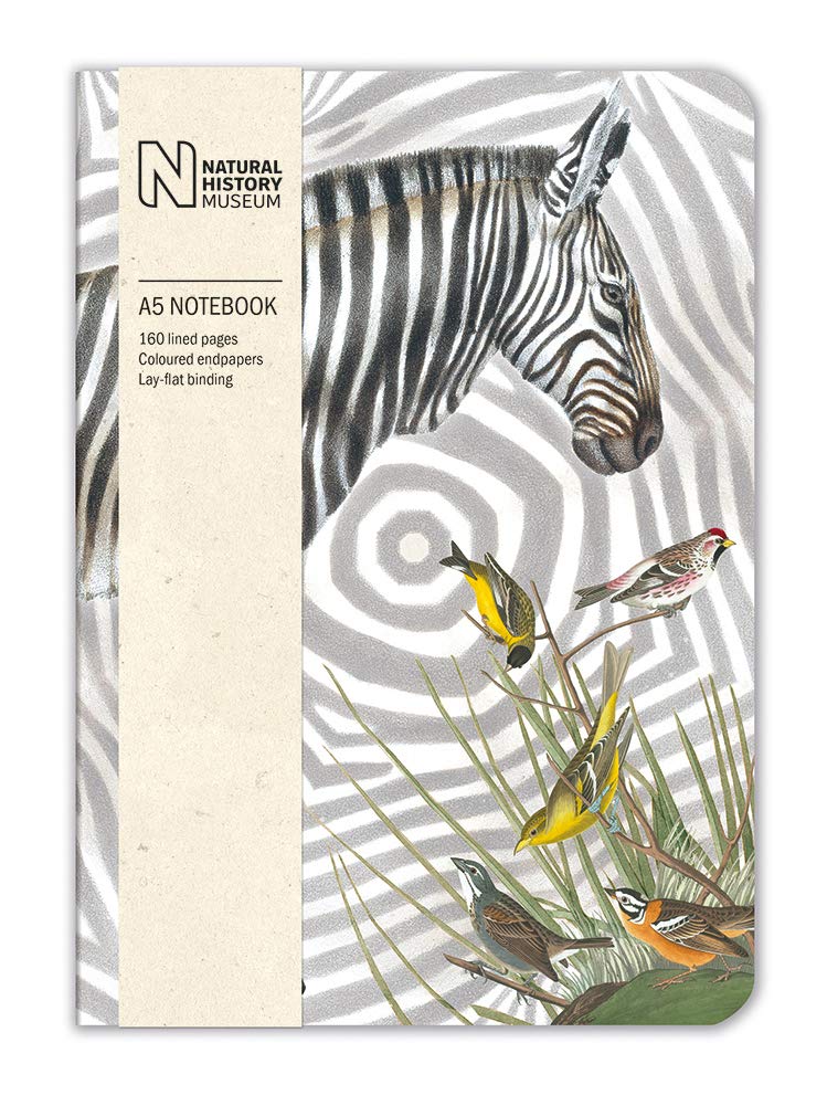 Natural History Museum Zebra A5 Luxury Notebook - Bee's Emporium